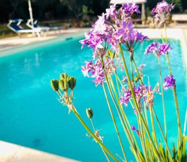 Parabita Bed & Breakfast | B&B DOÑA FLOR