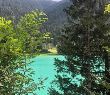 Venas di Cadore Apartment | B&B Dolomiti