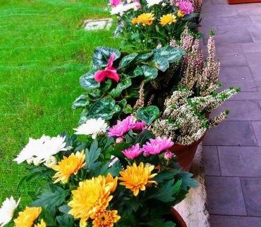 Dorsoduro Bed & Breakfast | B&B HORTUS