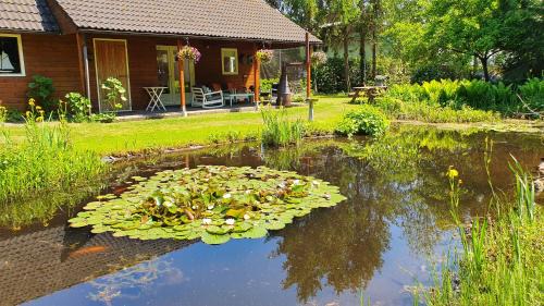 Veendam Bed & Breakfast | B&B Houtstee