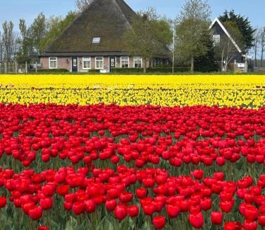 Sint Maartensvlotbrug Bed & Breakfast | B&B Idylle aan Zee incl 2 Wellnessstudios