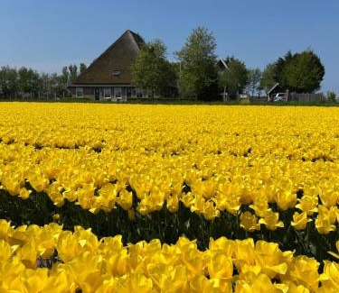 Sint Maartensvlotbrug Bed & Breakfast | B&B Idylle aan Zee incl 2 Wellnessstudios