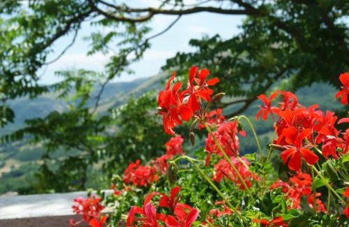 Muro Lucano Bed & Breakfast | B&B IL QUERCETO