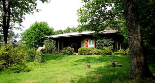 Cantu Bed & Breakfast | B&B L'Albero Maestro