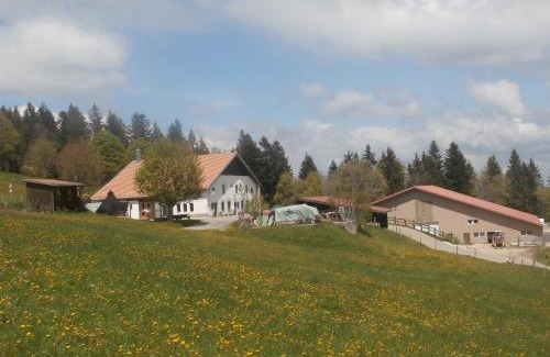 La Chaux-de-Fonds Bed & Breakfast | B&B La Ferme De Pouillerel