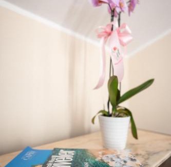 Agerola Bed & Breakfast | B&B La Piazzetta