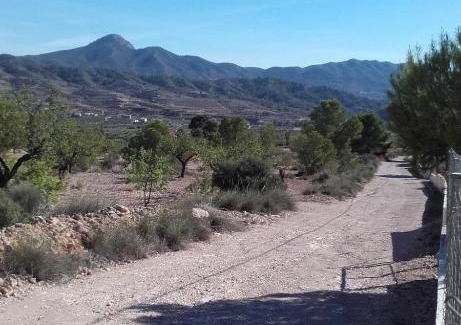 Abanilla Bed & Breakfast | B&B Los Zuecos