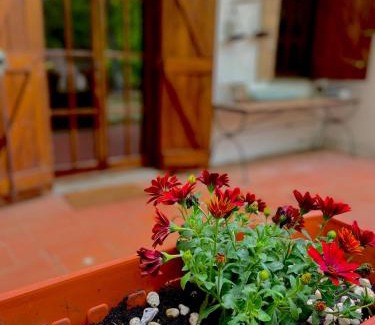 Allumiere Bed & Breakfast | B&B Notti Serene
