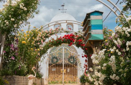 Baisha Old Town Hotel | Baisha Flamingo Hotel