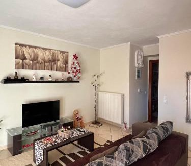 Trikala Apartment | Bakopoulos resort.Ενα όμορφο διαμέρισμα με τζάκι