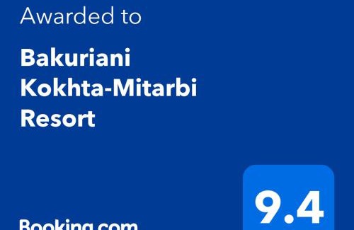 Bakuriani Apartment | Bakuriani Kokhta Mitarbi Resort