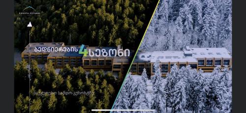 Bakuriani Apartment | Bakuriani Kokhta Mitarbi Resort