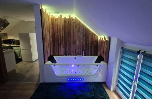 Quartier Saint-Clement - Jardin des Plantes Apartment | Balnéo Nuits Douces Rouen