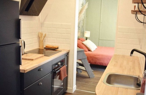 Centre Ville Apartment | Balneo in the Jungle