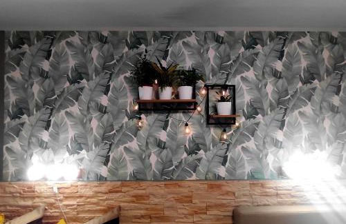 Gyula Apartment | Bambusz Apartman Gyula