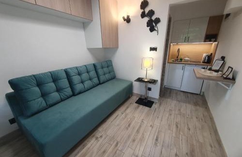 Jaszowiec Apartment | Barbara 11