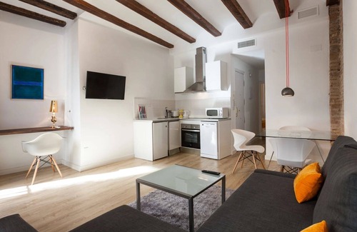 Ciutat Vella Apartment | Baron Reina 1 - Plaza de la Reina