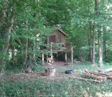 Ladbergen Other | Baumhausnächte