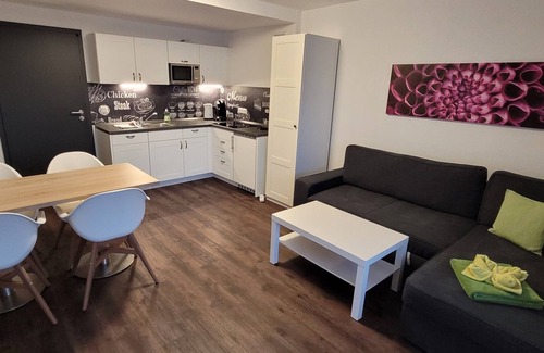 Lam Apartment | BayVista, the Bavarian Forest Lodge: 2-room apartment balcony/mountain view