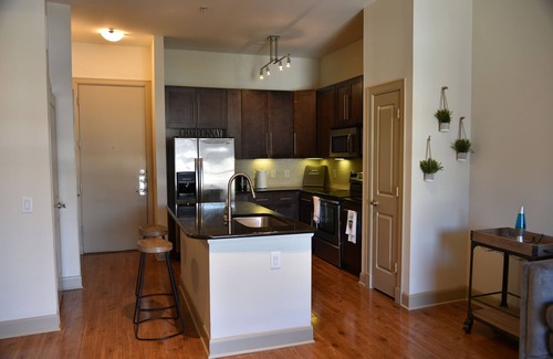 Astrodome Apartment | Beautiful 1br medical Center Nrg Stadium