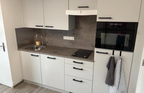 Eikske House | Beautiful apartment near recreational facility