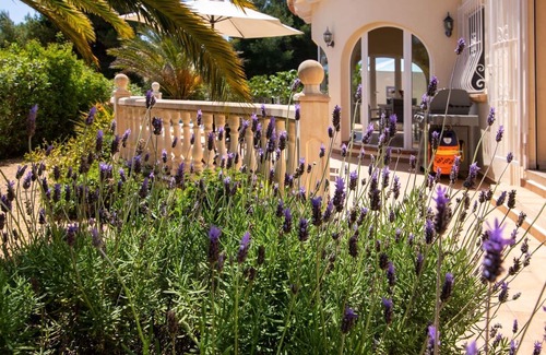 Costa Nova House | Beautiful private villa for 6 guests with WIFI, A/C, private pool, TV, terrace and parking