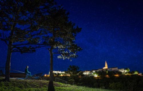 Sveti Martin Villa | Beautiful Villa Rhapsody with pool in Buzet