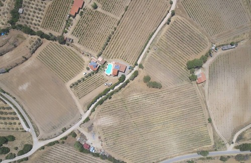 Berchidda Other | Bed and Breakfast Domo de Resteblas