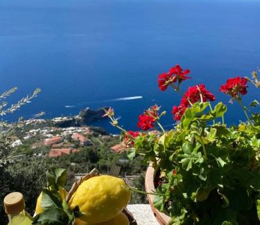 San Lazzaro House | Bed&Breakfast Miramare