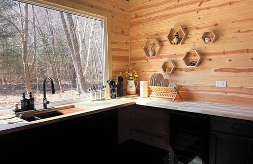 Lapeer Cabin | Beehive shipping container cabin surrounded by nature and a pond