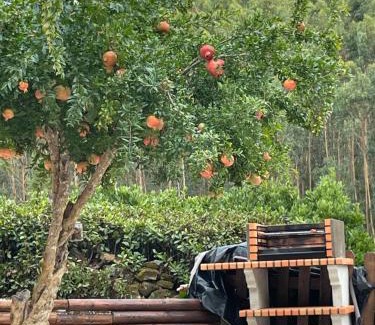 Ferreira do Zezere Ski Chalet | Beija Rio Charming House