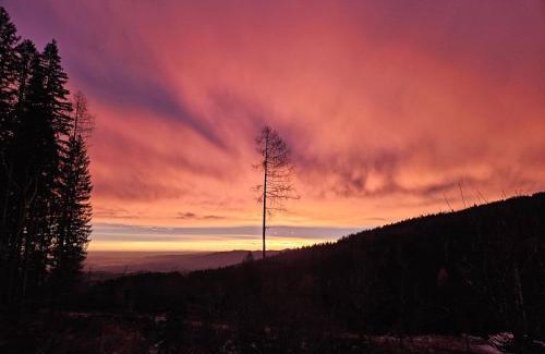 Eibiswald House | Beim Michl in Mauthnereck