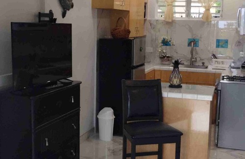 Estate Contant Apartment | BELLA TORTUGA - B Garden studio in charming St. Thomas with AC, Wi-Fi, Courtyard
