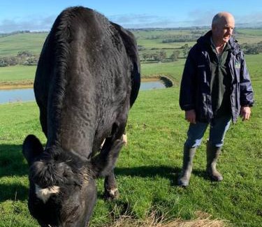 Scotts Creek House | Bellevue Farmstay