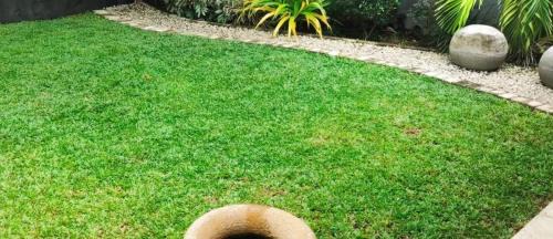 Hettimulla Villa | Bentota Lotus Resort and Villa Bentota