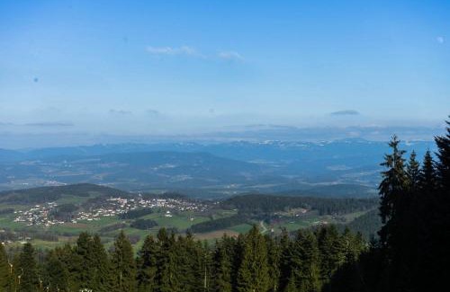 Maibrunn Hotel | Berggasthof Hochpröller