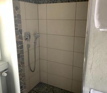 Neusatzeck Hotel | Berggasthof Immenstein