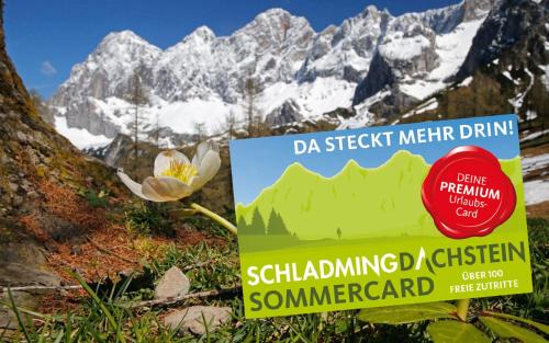 Ramsau am Dachstein Apartment | Bergidyll Top 1 Gartenwohnung