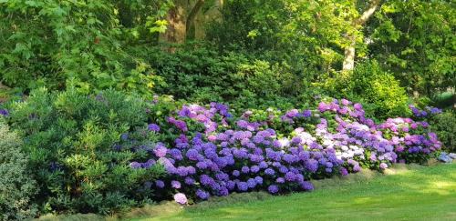 Saint-Pee-sur-Nivelle House | BIDACHUNA