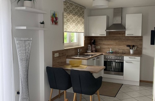 Ludwigshafen Apartment | Big Apartment with Lake View, Balcony and Wi-Fi