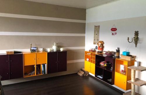 Bad Mitterndorf Apartment | Big apartment, 72m2, nature paradise, swiming pool, table tennis, therme