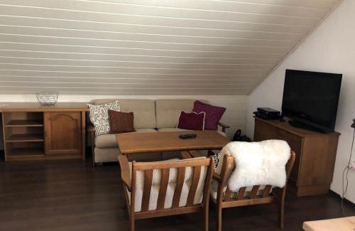 Bad Mitterndorf Apartment | Big apartment, 72m2, nature paradise, swiming pool, table tennis, therme