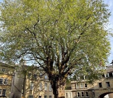 Bath City Centre Apartment | Bijou Beauty - Bath Abbey