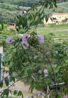 Gorra Apartment | Bike NIGHT-bike friendly, cozy loft, Finale Ligure