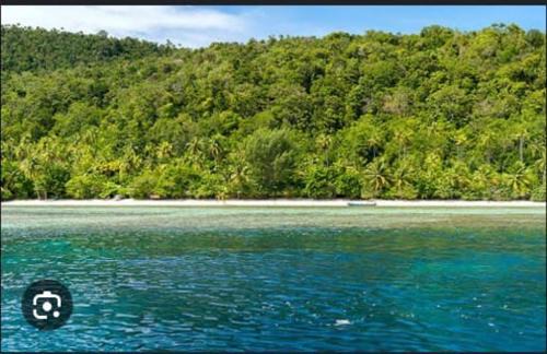 Raja Ampat House | Binmeos Homestay