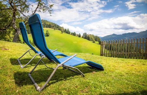 Muehlbach Am Hochkoenig Apartment | Bio Bauernhof Brandgut
