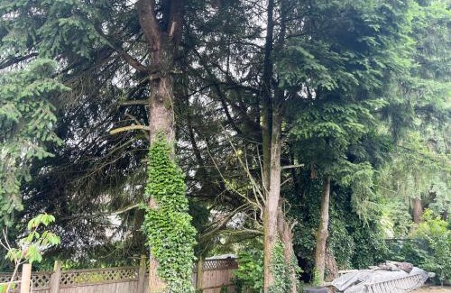 Guildford Apartment | Bird Nest Suites