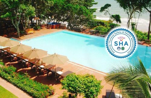 Pratumnak Hill Resort | Birds and Bees Resort