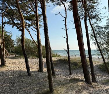 Palanga Apartment | Birutės alėja 18