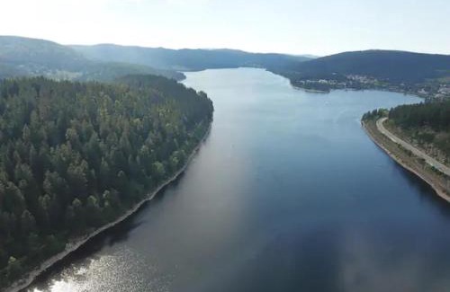 Hoechenschwand Apartment | Black Forest Schwarzwaldblick Indoorpool WIFI Natur Komfort